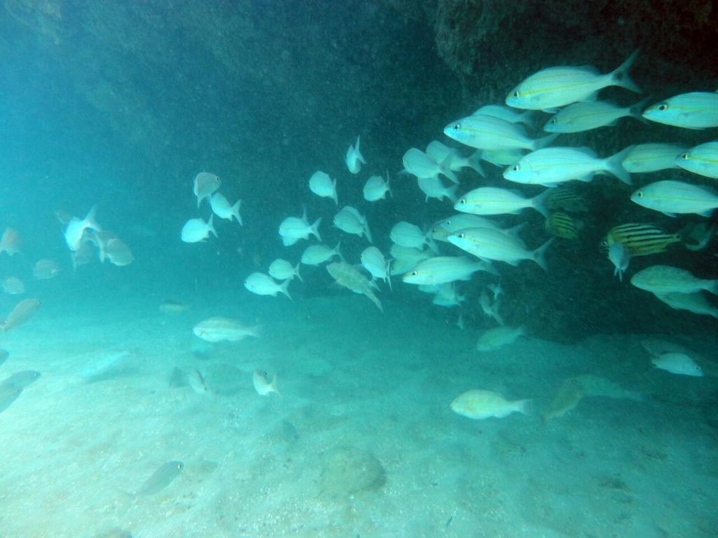Pensão Sabrinna Maceió